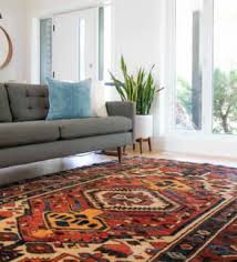 gold coast carpet cleaning business for