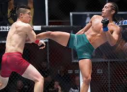 Nov 25, 2011 · 7) nate diaz. Palms Valet Parker Wins Ufc Contract On First Night Of New Fighting Series