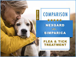 Nexgard Vs Simparica Comparison And Key Differences