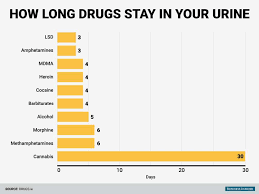 Heres How Long Various Drugs Stay In Your Body Iflscience