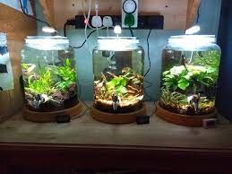 27 Cool DIY Fish Tank Ideas With Tutorials – Home And Gardening Ideas gambar png