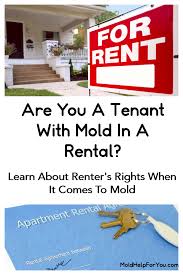 Indoor mold and your health. Mold In A Rental Landlord Won T Fix The Mold Problem A Guide To Mold And Tenant S Rights Mold Help For You
