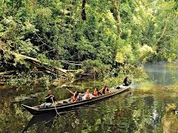 A virgin jungle expanse covering 4,343 square kilometres, taman negara was established in 1939 and is malaysia's first and largest national park. Taman Negara One Of The World S Oldest Tropical Rainforest