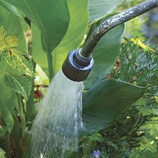 how to water your garden sustainably