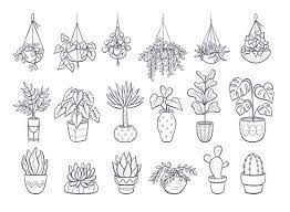 Houseplant Sketch Images Browse 22