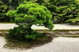 Kyoto Zen Garden Zen Mind Private 2023