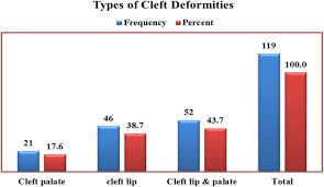 cleft lip and palate deformities