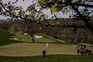 As Golf Courses Reopen, New Players Take Up the Long Walk - The ...