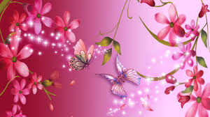 pink flower backgrounds 59 images
