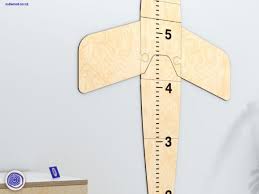 Plane Growth Chart Airplane Wall Art