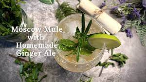 moscow mule with homemade ginger ale