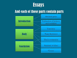 Writing essays guidelines 