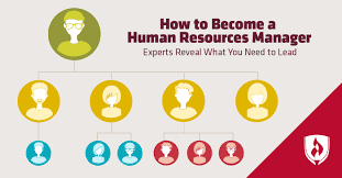 How To Become A Human Resources Manager Experts Reveal What