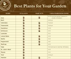 Planting A Medicinal Herb Garden Traditional Medicinals