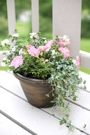 the secrets to flower pot design how