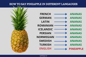 pineapple symbolism and meaning