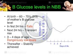 35 Bright Normal Glucose Levels In Neonates