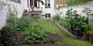 Diary Of A Brussels Kitchen Garden