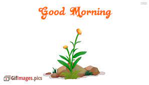 animated good morning gif images for