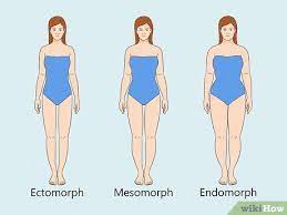 how to lose weight as an endomorph