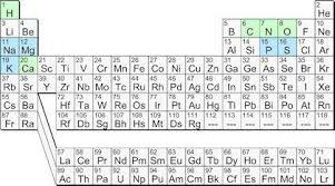 which elements form a human body edn