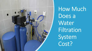 water filters s how much does a