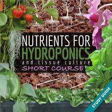hydroponic nutrient course