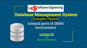 components of database environment