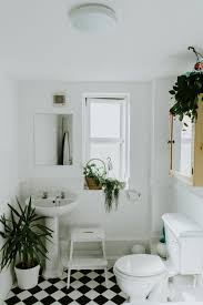 What Plants Can Survive In A Bathroom