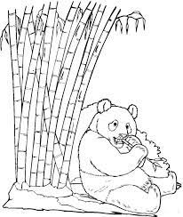 Bamboo coloring page from bamboo category. Panda Sitting And Eating Bamboo Coloring Page Mitraland