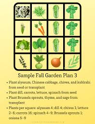 Starting A Fall Garden Growing In The