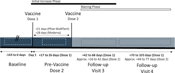 Immune Response To Covid 19 Vaccination