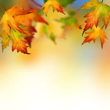 Autumn Leaves Backgrounds For Powerpoint Flower Ppt Templates