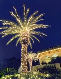 Outdoor Lights Palm Tree