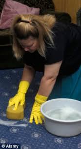 carpet cleaner woman ile ilgili görsel sonucu