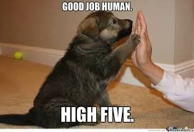 Your daily dose of app extra features: Congratulations Puppy Job Memes Good Job High Five