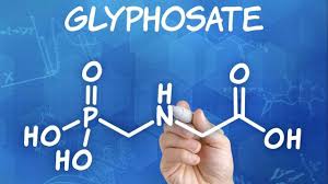Glyphosate The Weed Killer Found In Our Food Water