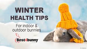 Winter Health Tips For Indoor
