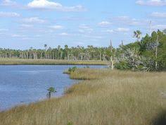 16 Best Old Florida Charm On The Chassahowitzka The Chaz