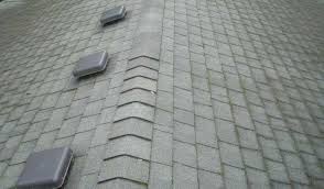 11 best types of roof vents