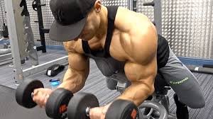 Back Biceps Full Routine