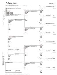 Pedigree Chart Lds 4 Generation Stevenson Genealogy Copy