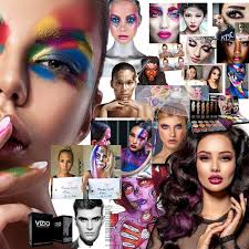 vizio makeup academy