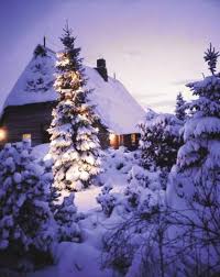 Mit diesem winterlichen foto wandtattoo können sie ihre wand im handumdrehen dekorieren. Waldkirch Weihnachtsbaum Im Schnee Vor Einfamilienhaus Kunstdruck