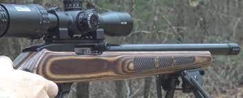 best scope for ruger 10 22 the 6 best