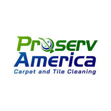 7 best fort lauderdale carpet cleaners
