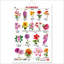 art card marathi flowers educational