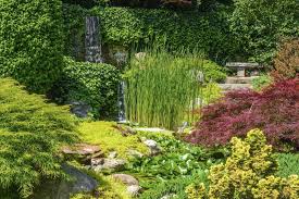 Tips For Creating A Japanese Garden