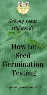 How do you help moisture get inside your old seeds? Pin On Garden