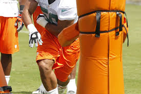 Miami Dolphins 2012 Depth Chart Post Undrafted Free Agents
